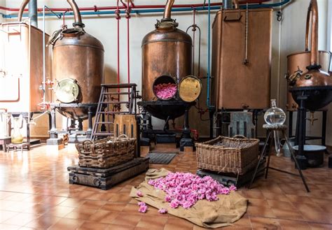 perfume making workshop at molinard.